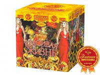 Красивая жизнь Фейерверк купить в Сунже Алания | sunzhaalaniya.salutsklad.ru