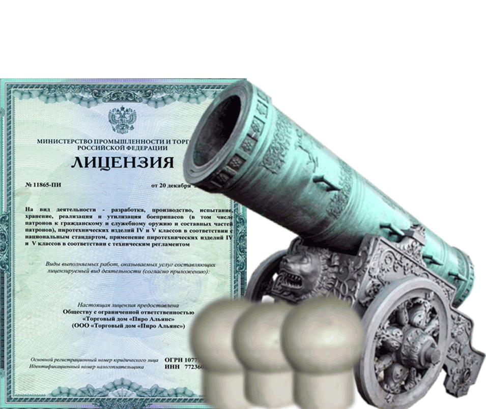 Заказать фейерверк на Новый Год - салют в Сунже Алания