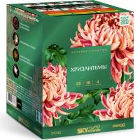 Хризантемы Фейерверк купить в Сунже Алания | sunzhaalaniya.salutsklad.ru