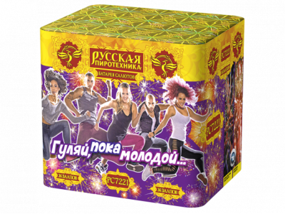 Гуляй, пока молодой Салют купить в Сунже Алания | sunzhaalaniya.salutsklad.ru